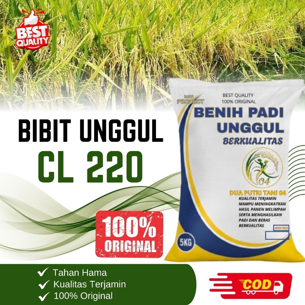 bibit PADI CL220 BIBIT Unggul kemasan 5kg
