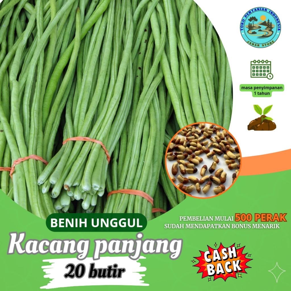 ( 20 butir ) BENIH BIJI KACANG PANJANG HIJAU SAYUR | BIJI KACANG PANJANG MERAH PUTIH KUALITAS UNGGUL
