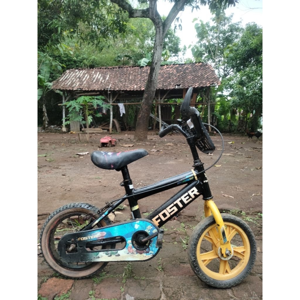 sepeda anak foster