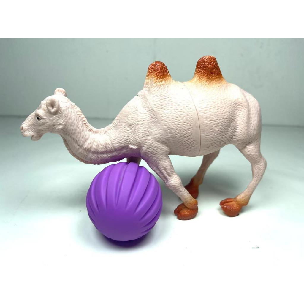 Vinyl Karakter Unta / Pajangan Unta HY018-50