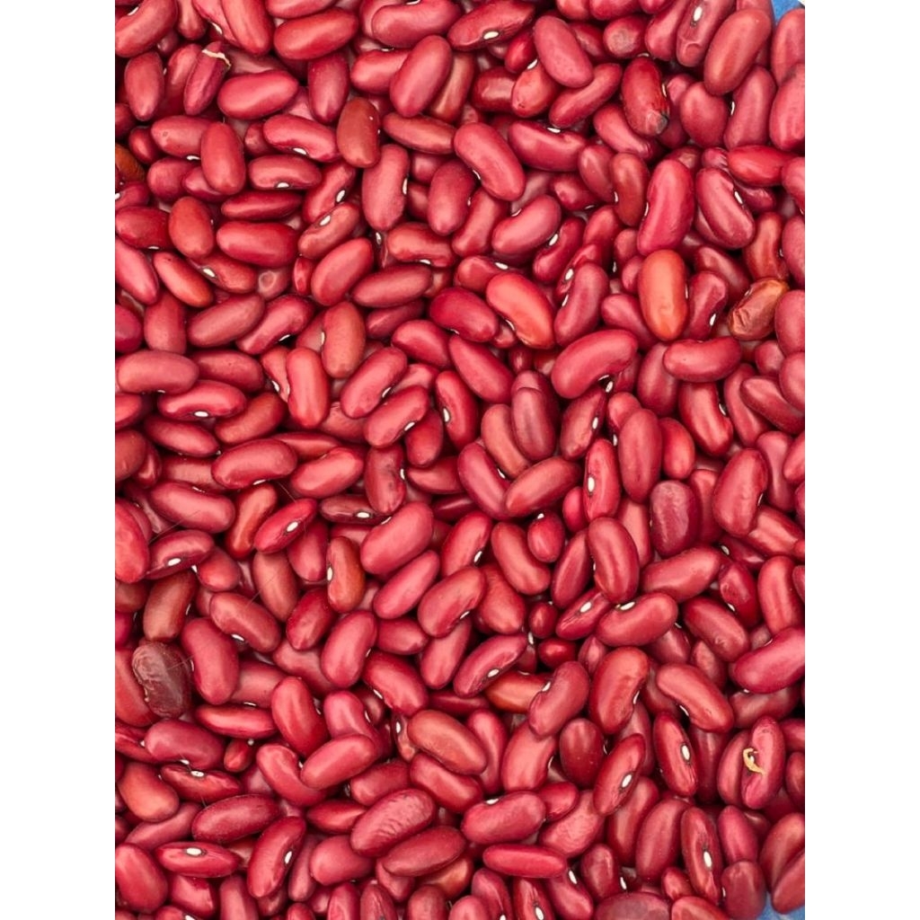 kacang merah kering1kg