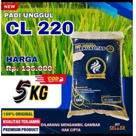Benih padi unggul CL220 5kg