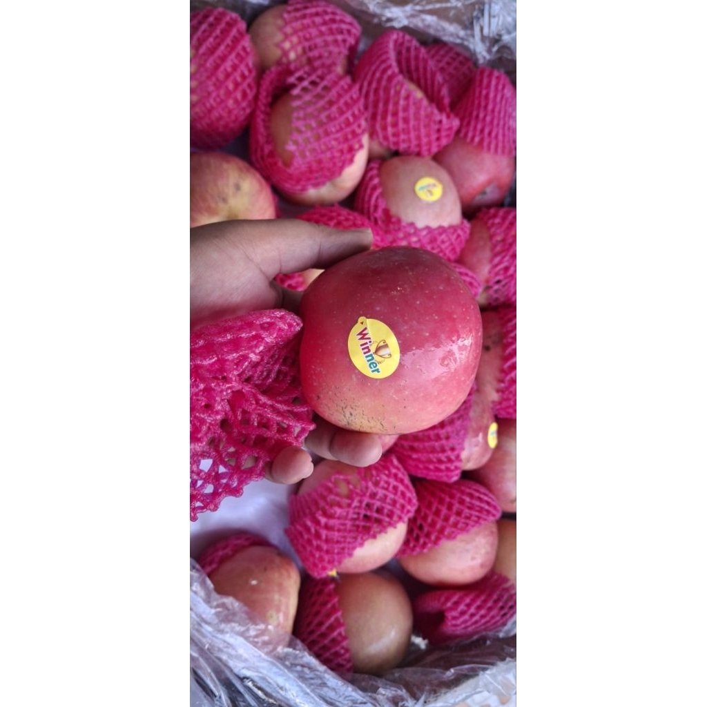 Apel Fuji Merah