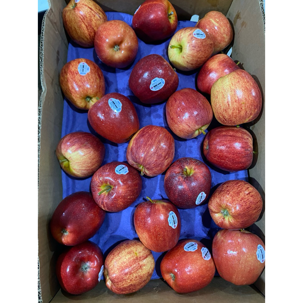 Apel Merah USA/apel merah Gala