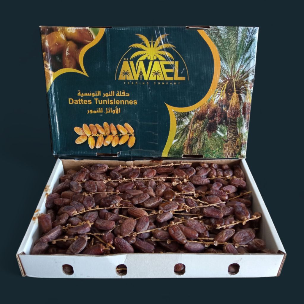 Kurma Tunisia Tangkai Kurma Tunis Kurma Tangkai