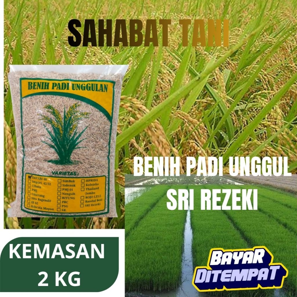 benih padi unggulan Sri rezeki kemasan 2kg