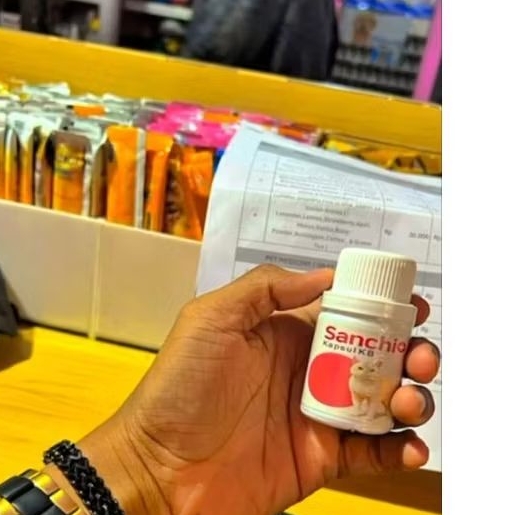 sanchio kapsul kb untuk kucing