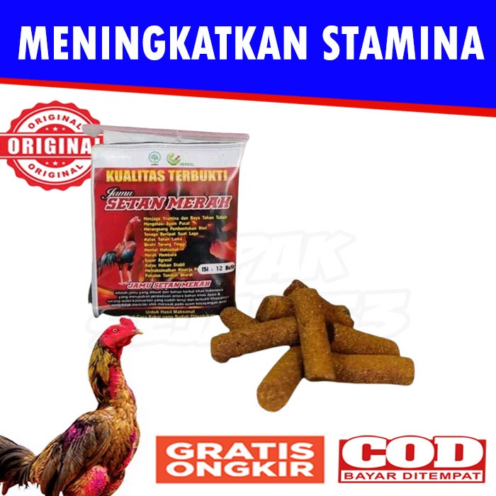 JAMU SETAN MERAH Untuk Ayam Bangkok Aduan Petarung Menambah Agresif Isi 12 Butir