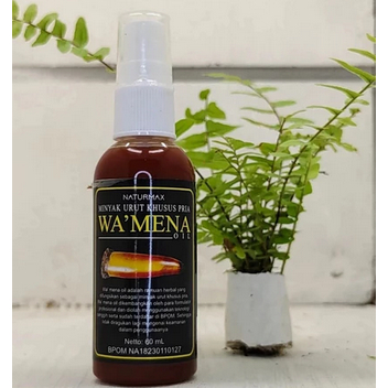 HerbalPrimordium|Minyak Oles WAMENA – Minyak Oles Herbal Aman Berkhasiat Memperbesar Ukuran