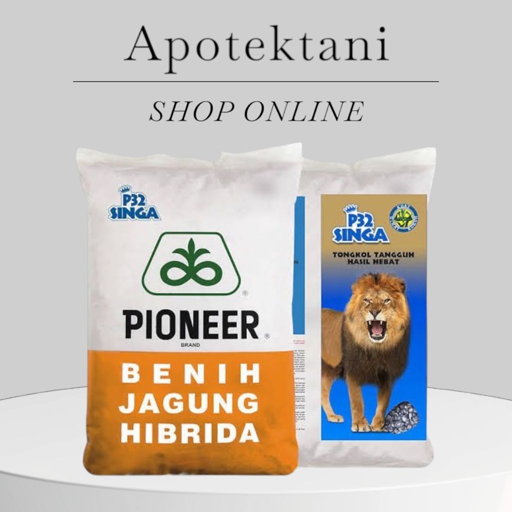 Benih Bibit Jagung PIONER P32 SINGA (5kg) | Benih jagung Hebrida
