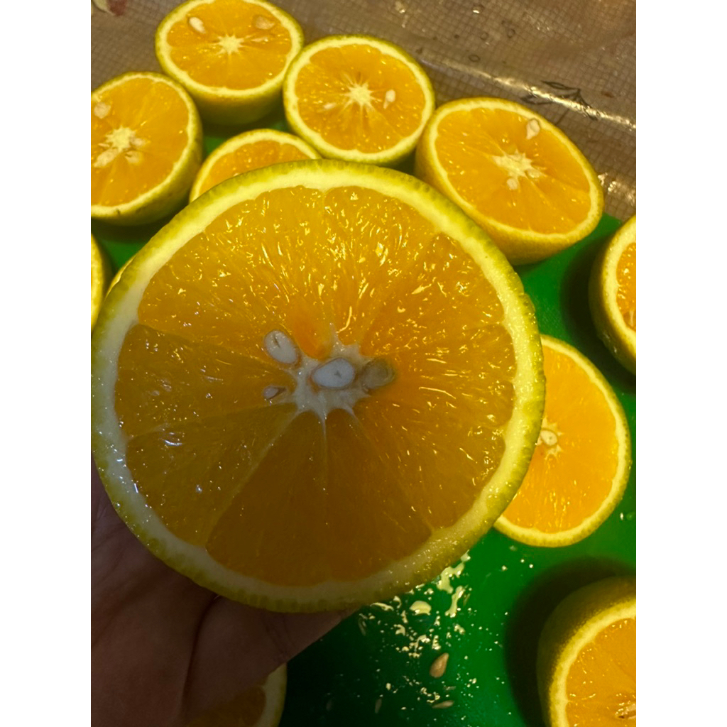 Jeruk Baby java