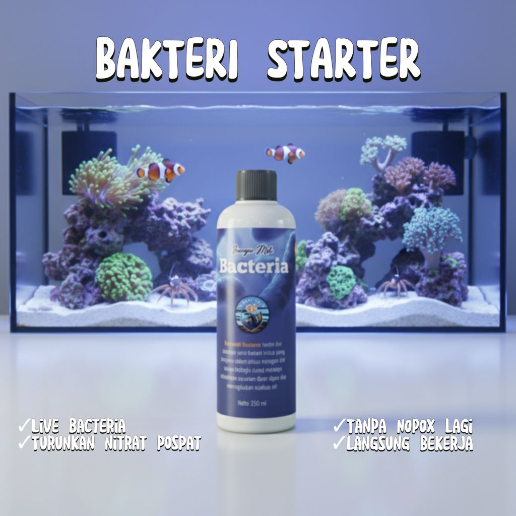 Bakteri starter penurun nitrat pospat,penghilang alga, bakteri hidup air laut dan tawar