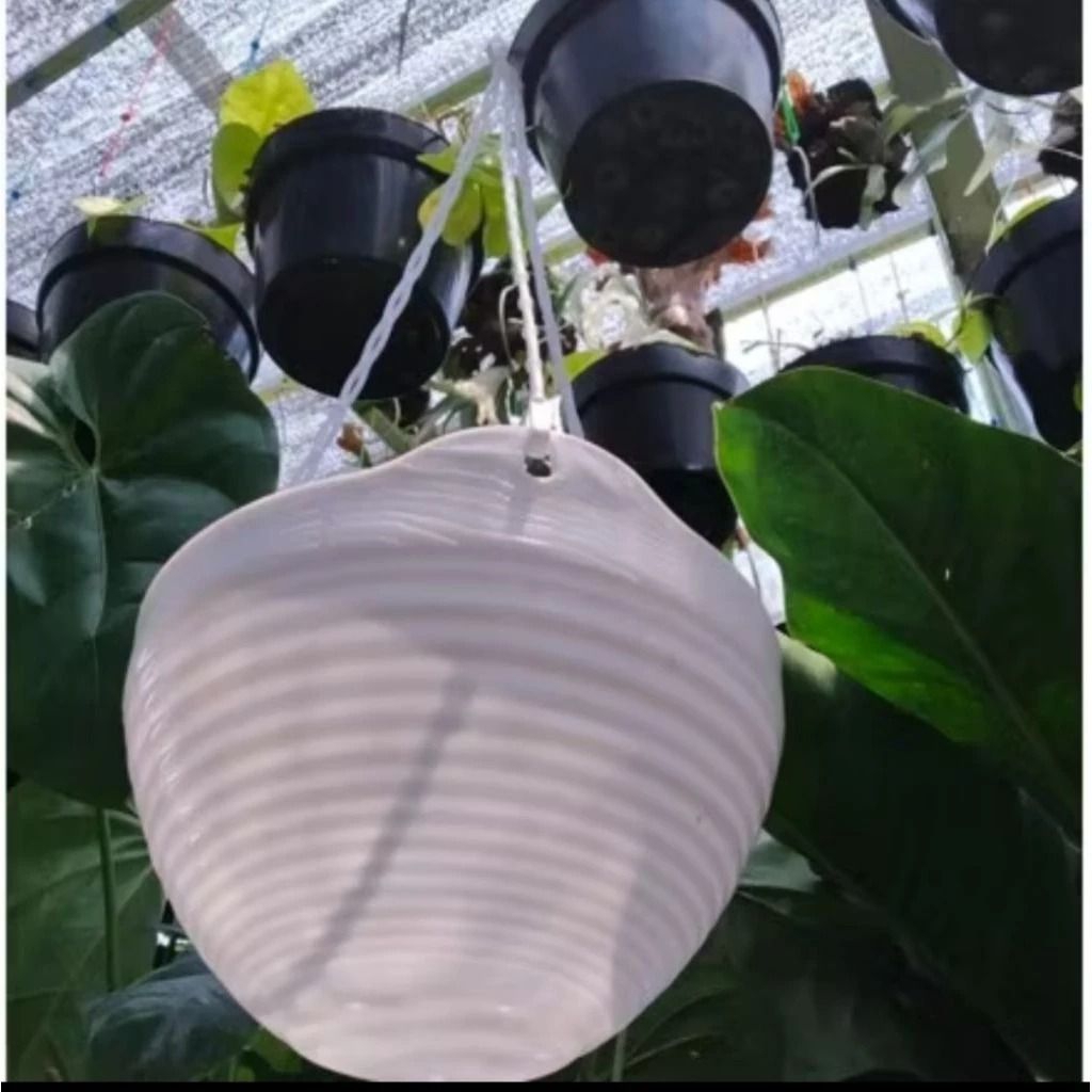 Pot Bunga Tanaman Gantung Putih Besar GGS 8857, Pot Tanaman, Pot Gantung