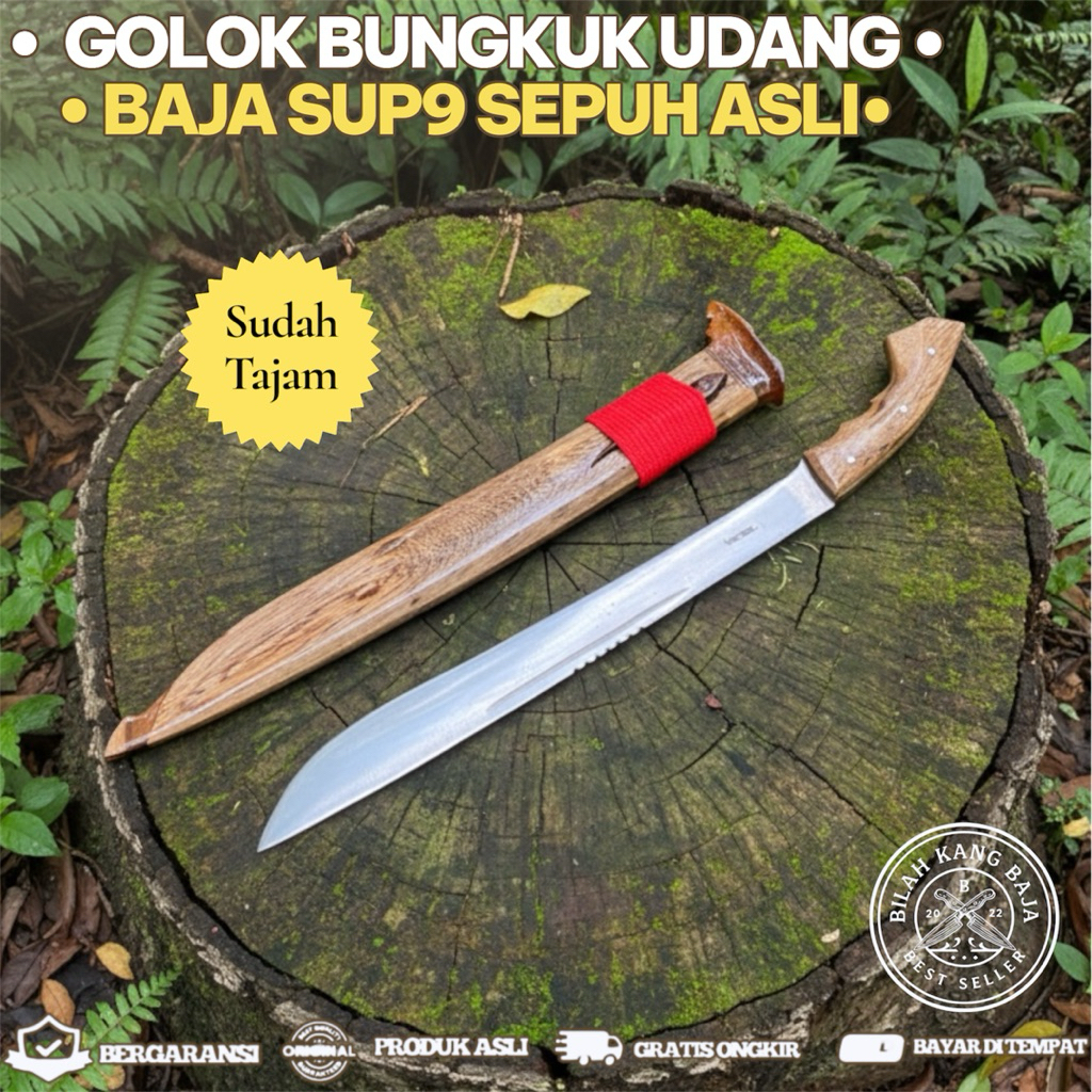 GoIok Bungkuk Udang Baja Sup9 Sepuh Fulltang Asli Berkualitas