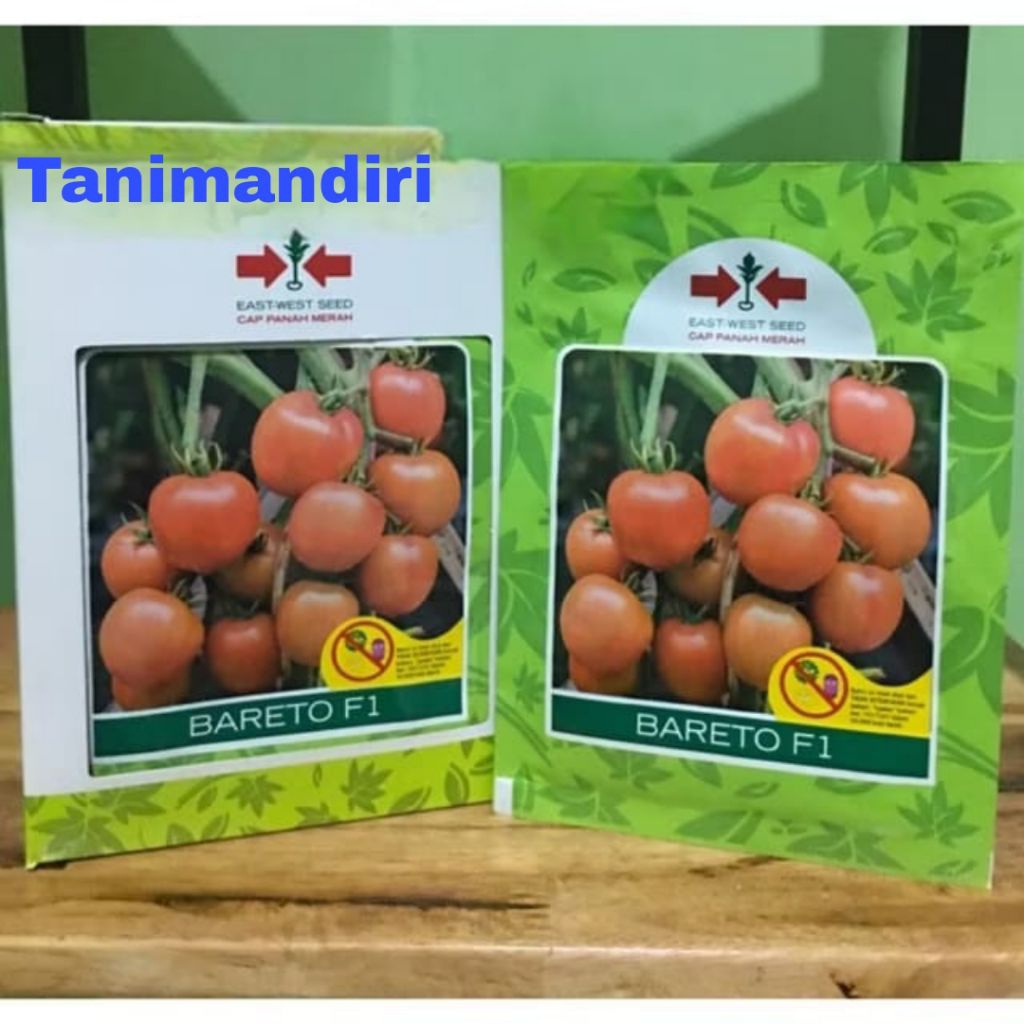 Benih Tomat Bareto F1 isi 1750 butir
