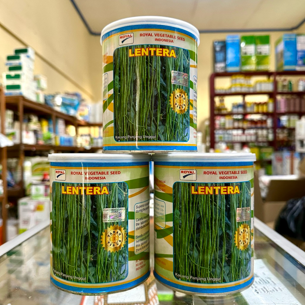 Benih Kacang Panjang LENTERA 500Gram
