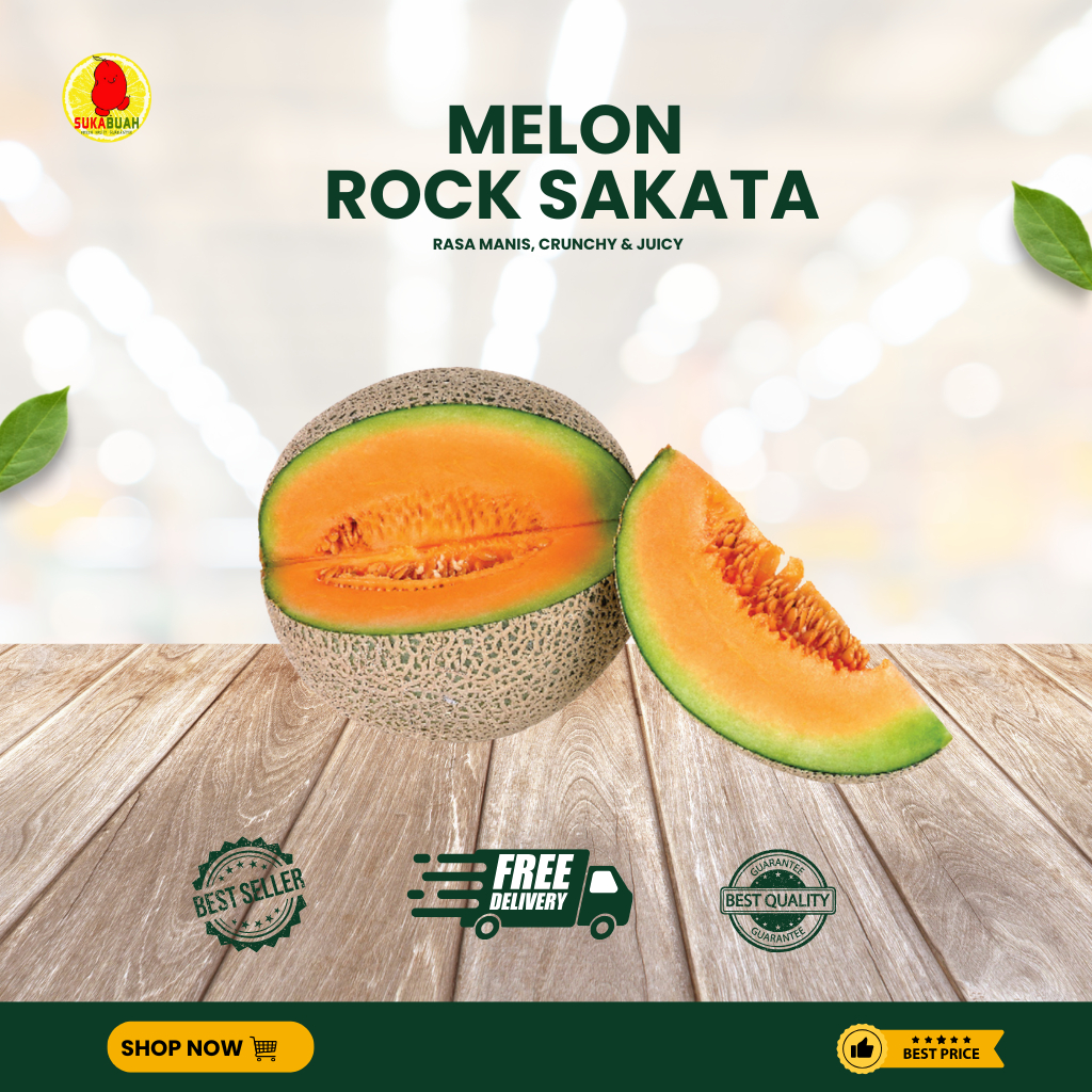 ROCK MELON SAKATA - SUKABUAH
