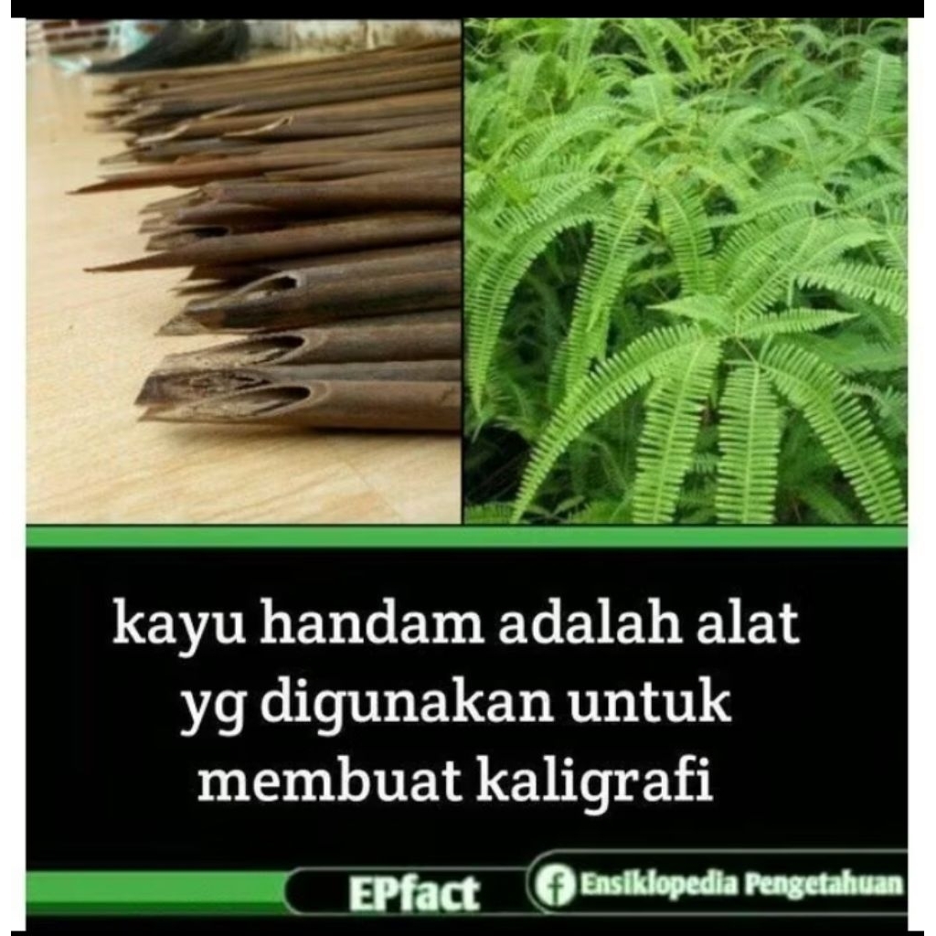 Isi 50 Kayu Handam, Batang Pena Handam, Alat Yang Digunakan Untuk Membuat Kaligrafi