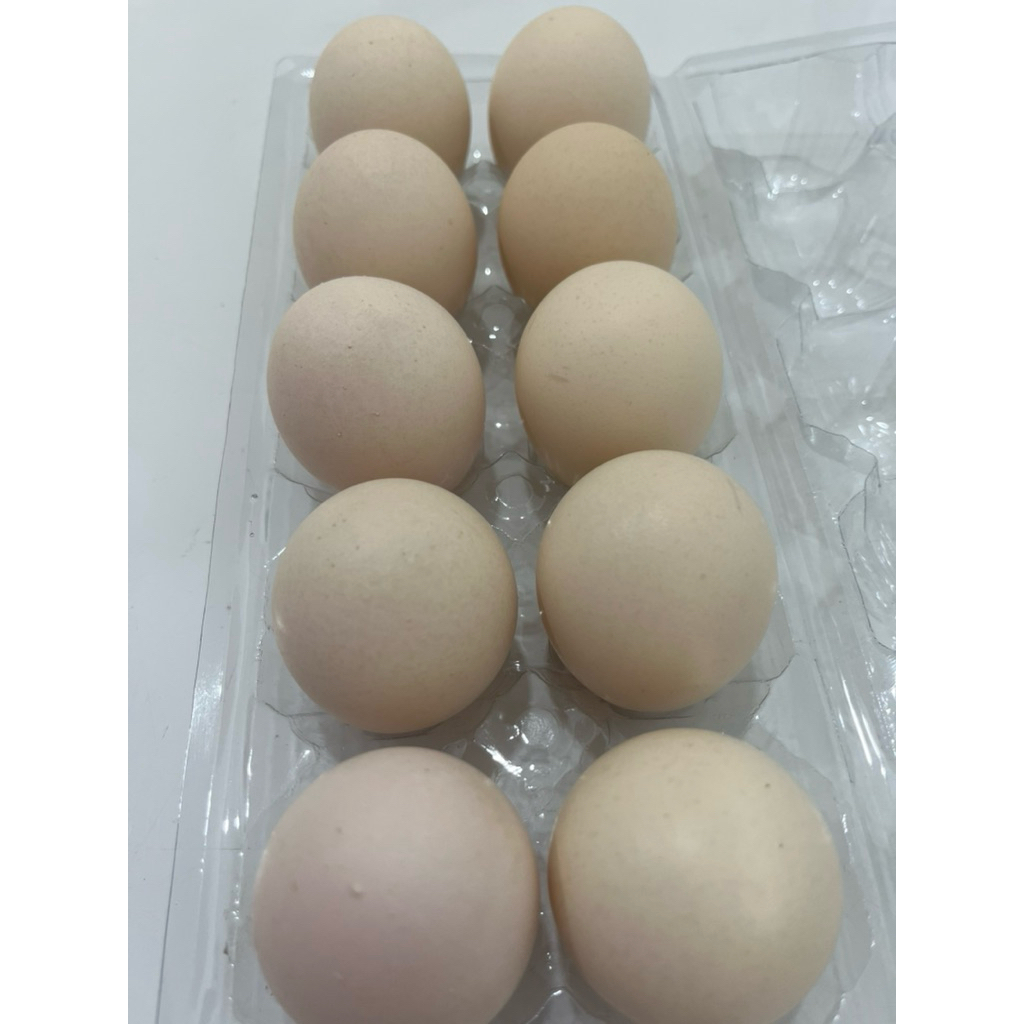 Telur Ayam Kampung Omega 3