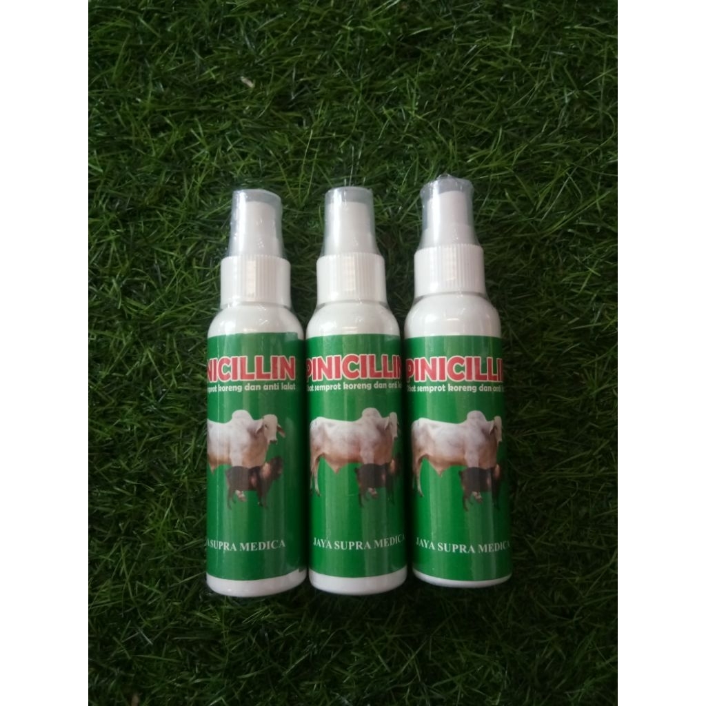 pinicillin obat semprot luka anti bakteri  untuk sapi dan kambing
