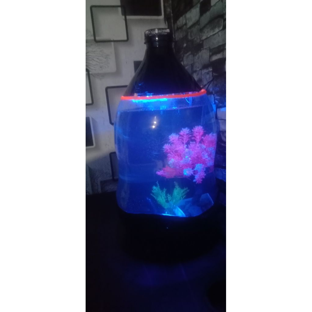 akuarium/akuarium portabel/ aquarium murah/akuarium unik
