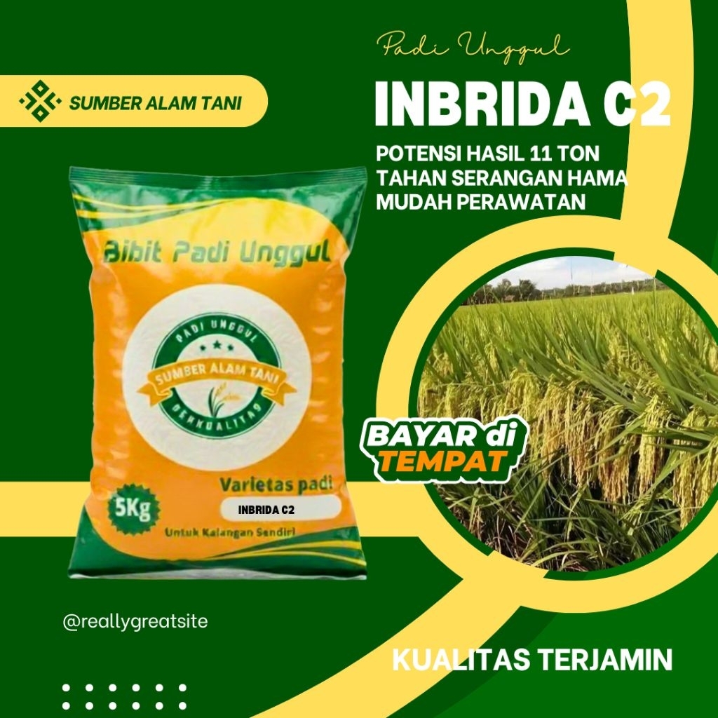 Benih padi INBRIDA C2 kemasan 5kg