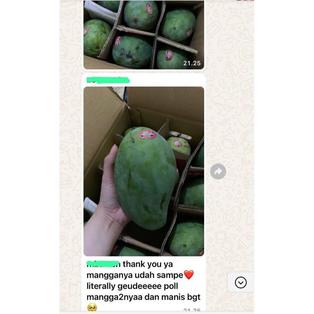 mangga alpukat asli Jawa timur 1DUS