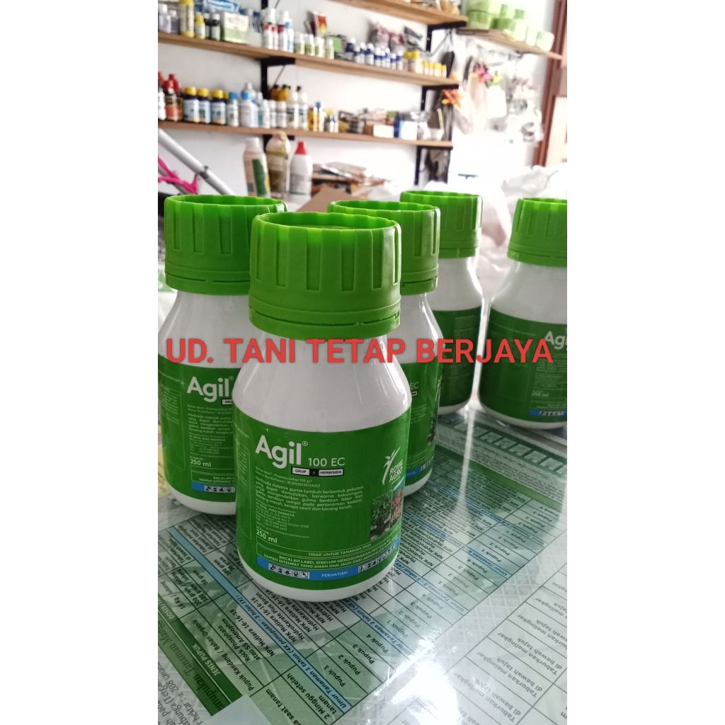 AGIL 100 EC Herbisida selektif pada tanaman ubi jalar, bengkoang, wortel, bawang, cabe, kacang tanah