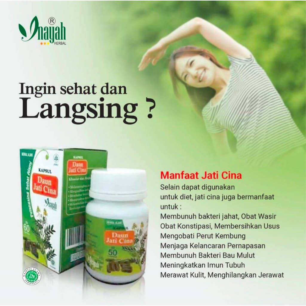 Kapsul Daun Jati Cina Inayah ORIGINAL