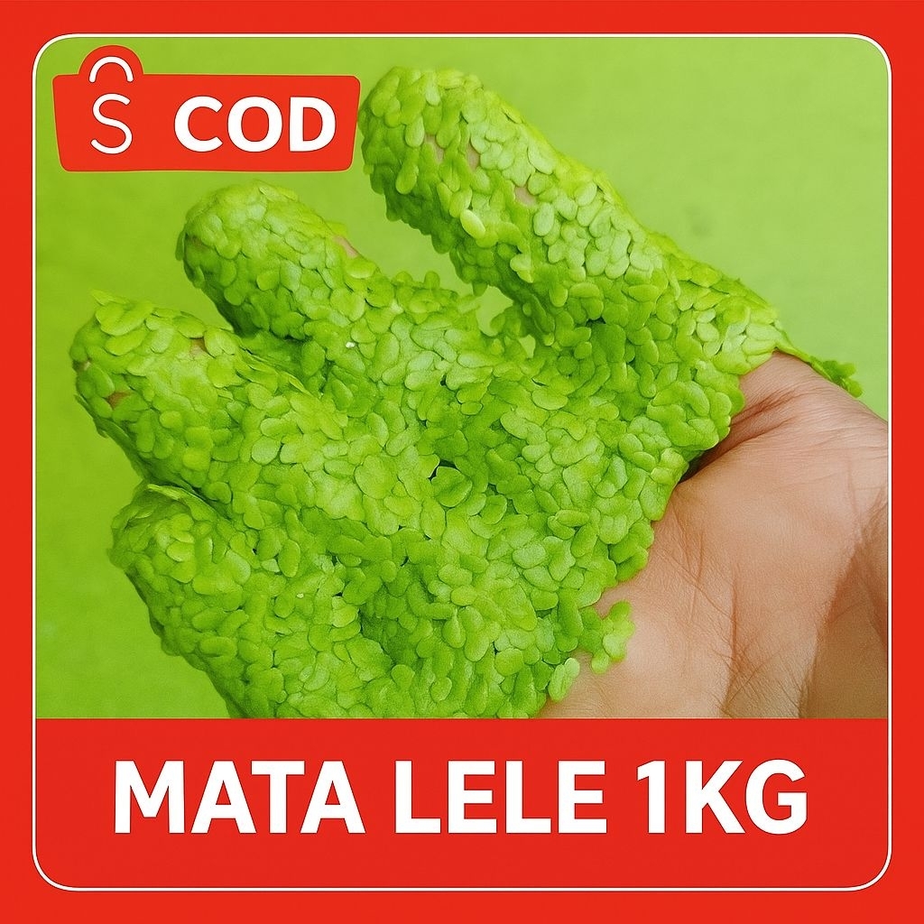 Tanaman Air Mata Lele / Lemna / Duckweed Segar 1 Kg – Pakan Ikan Lele, Nila, dan Bebek