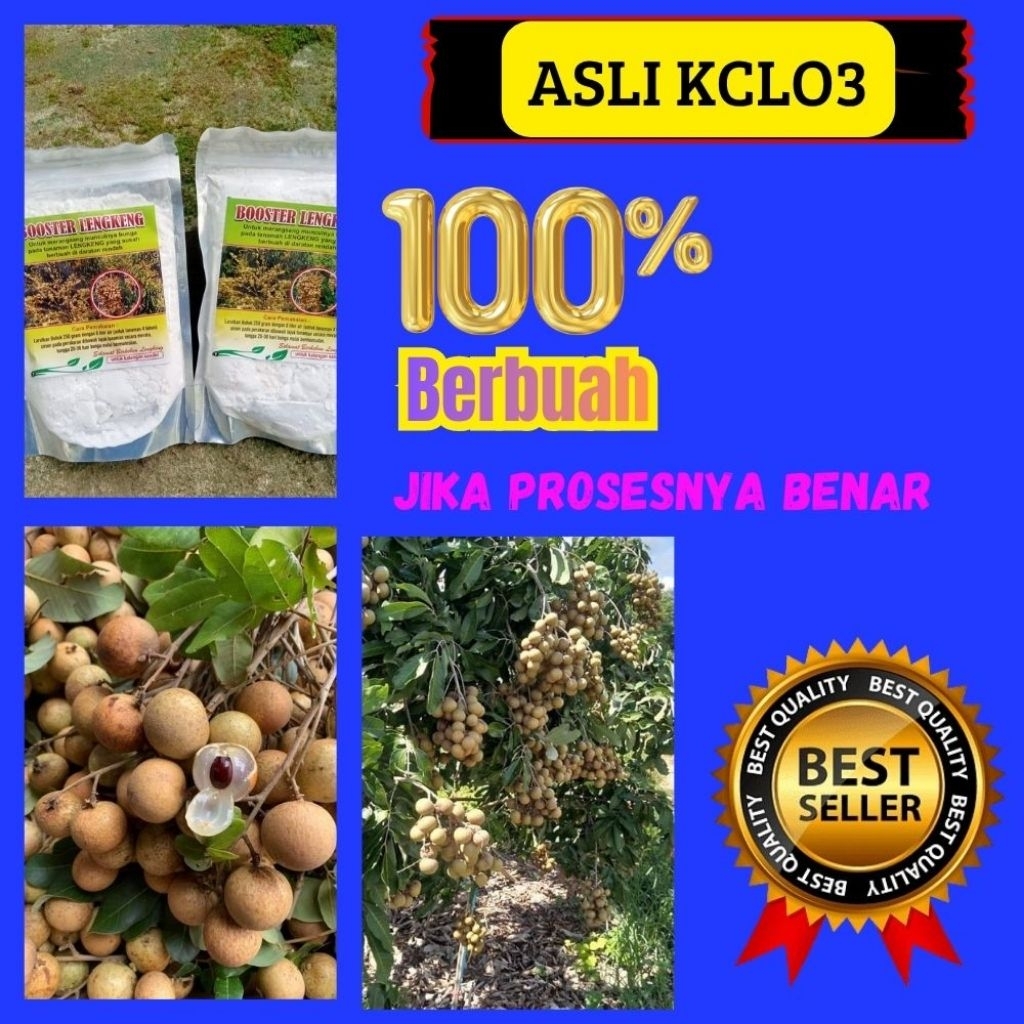 Booster Kelengkeng Kclo3