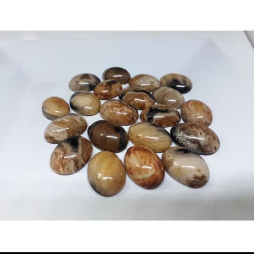 FOSIL GALIH ASEM ASLI NATURAL BATU AKIK JAWA