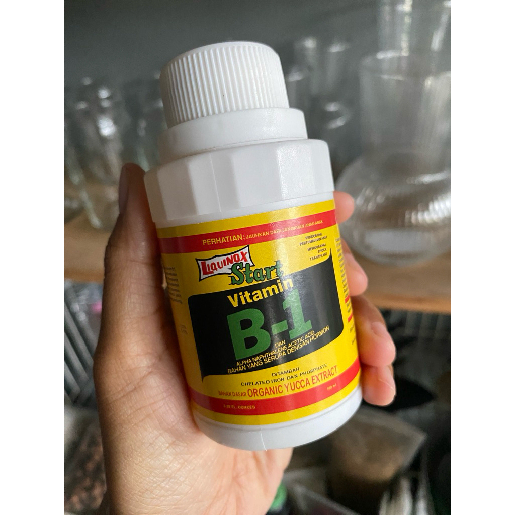 Vitamin B1 liquinox start  tanaman hias - vitamin B1 tanaman - vitamin tumbuhan