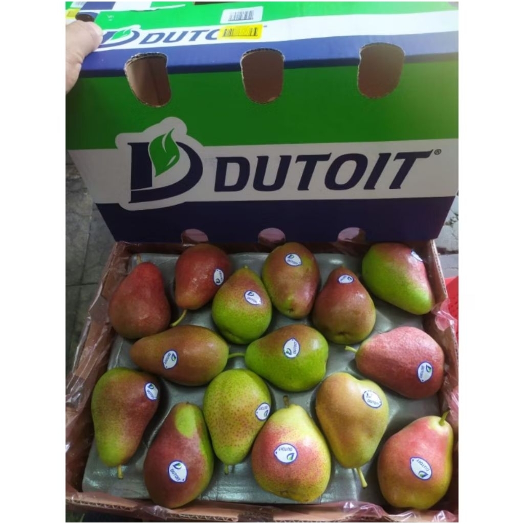 buah pear forelle Afrika pear forelle fresh 1kg