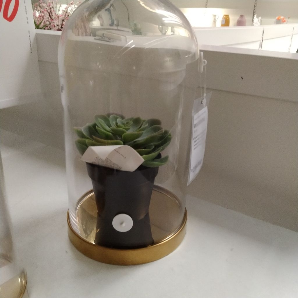 Flower glass dome dasar  baja kubah display kaca kubah kaca