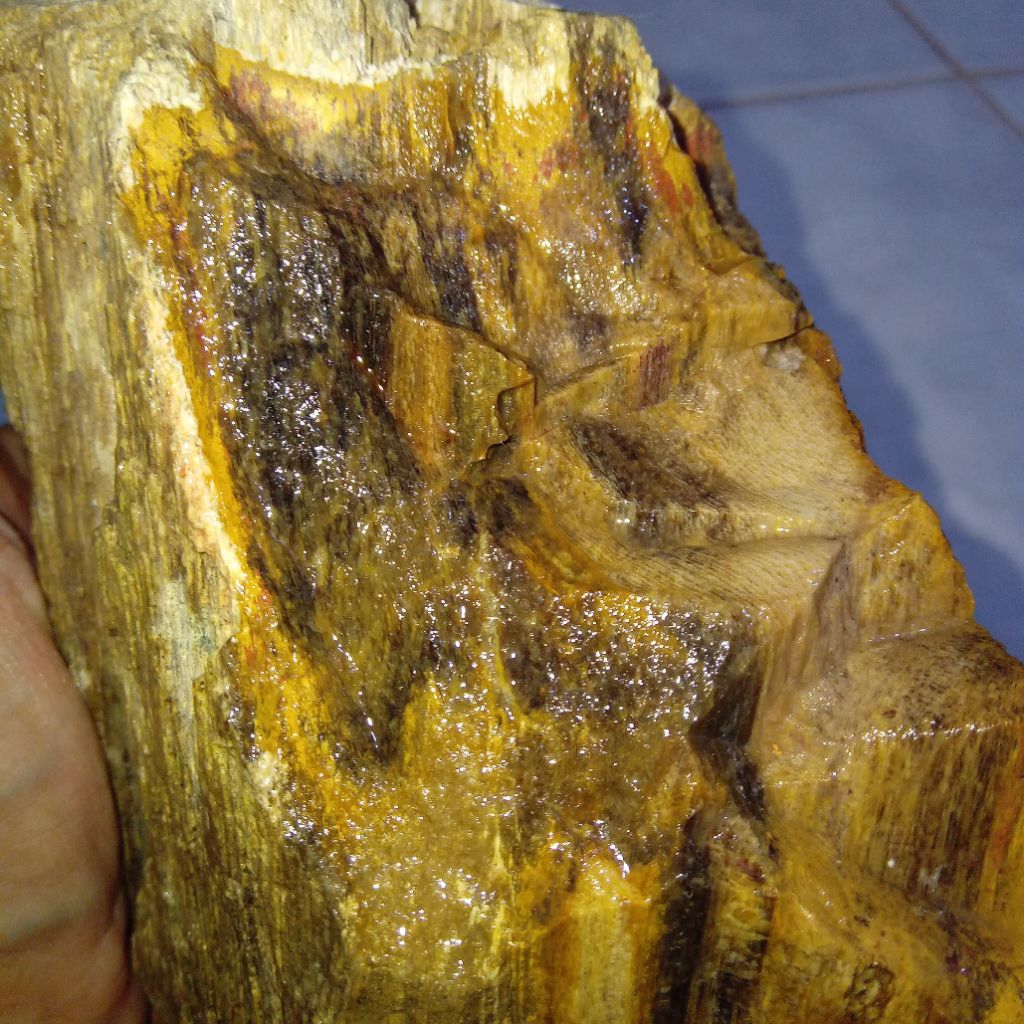 Natural Batu Akik F0SiL Kayu Motif Belang Macan Harimau Asli Indonesia