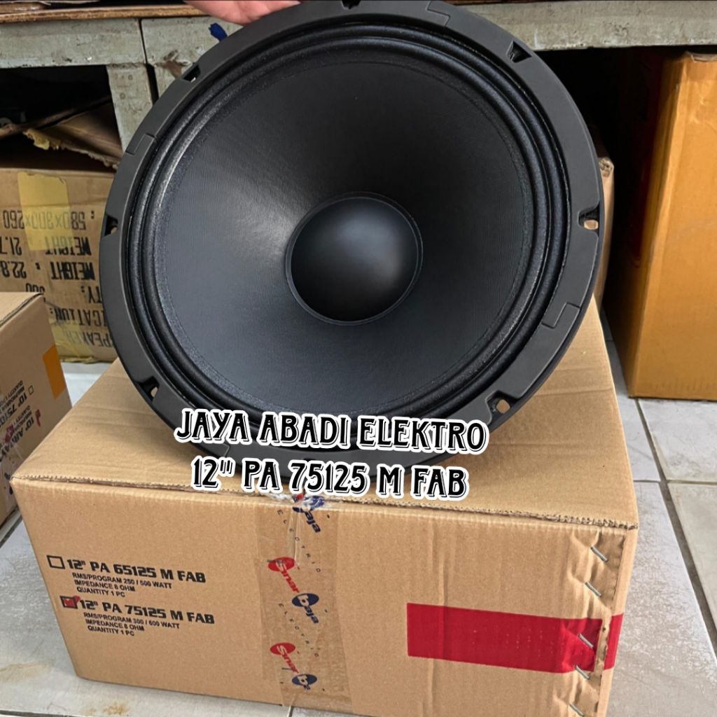 Speaker ACR Fabulous 12 inch PA 75125 M FAB