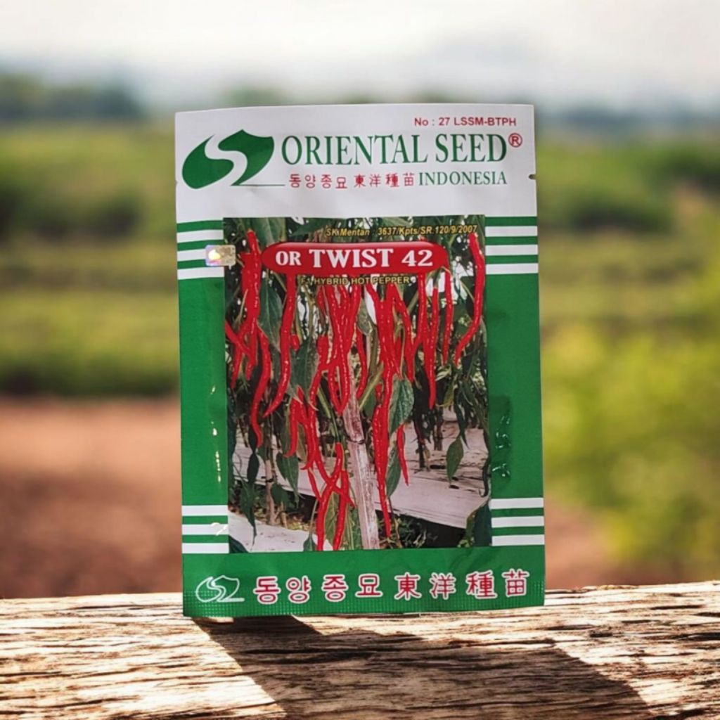 BIBIT CABE KERITING OR TWIST42 ORI