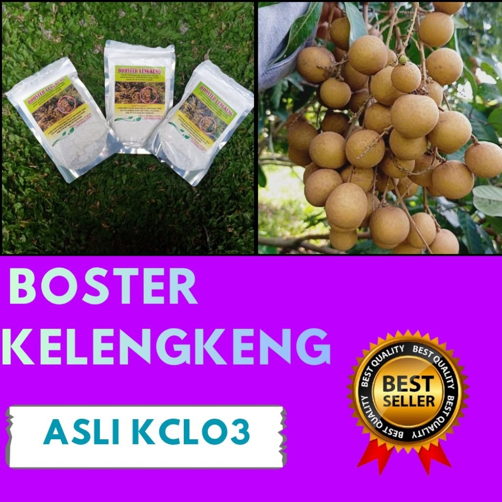 Boster Kelengkeng Kclo3