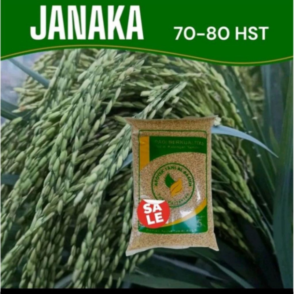 Benih Padi JANAKA Super Genjah 5 Kg