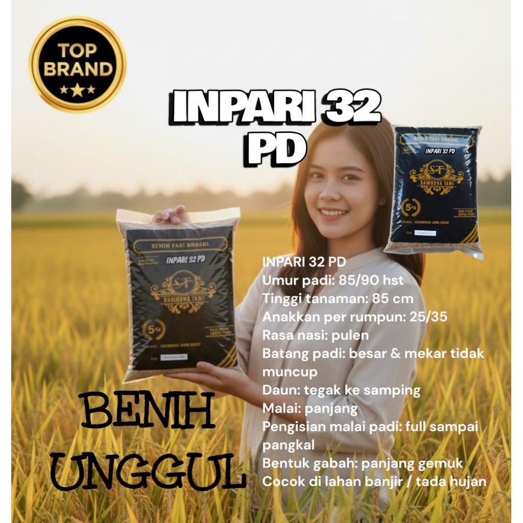 5kg Benih padi INPARI 32 PD gabah unggul terbaru original umur panen genjah bulir padi super jumbo