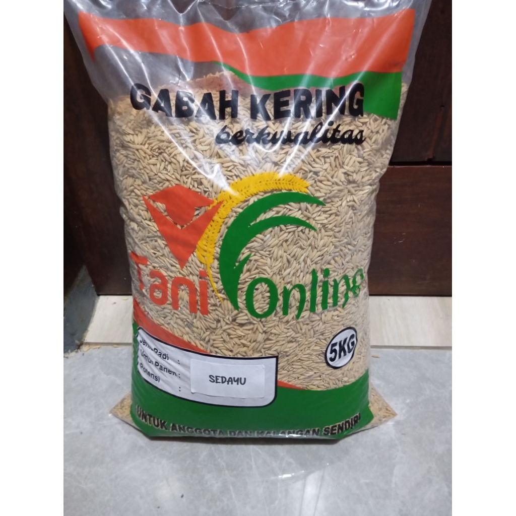 Bibit padi SEDAYU bibit unggul