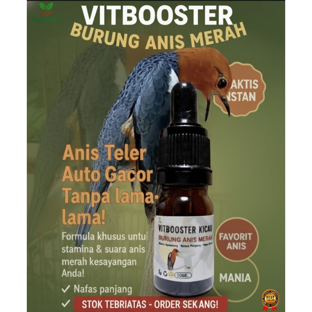 Vitamin Anis Merah Teler Gacor | VitBooster Anis Merah Volume Keras & Rajin Bunyi