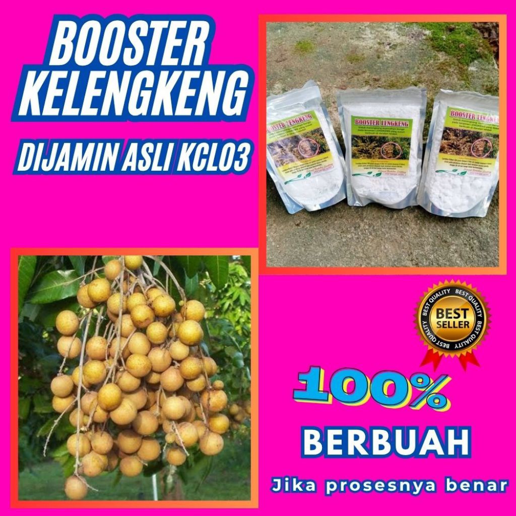 Boster Kelengkeng Serbuk, Boster Kelengkeng Terbaik, Boster Kelengkeng Terdekat