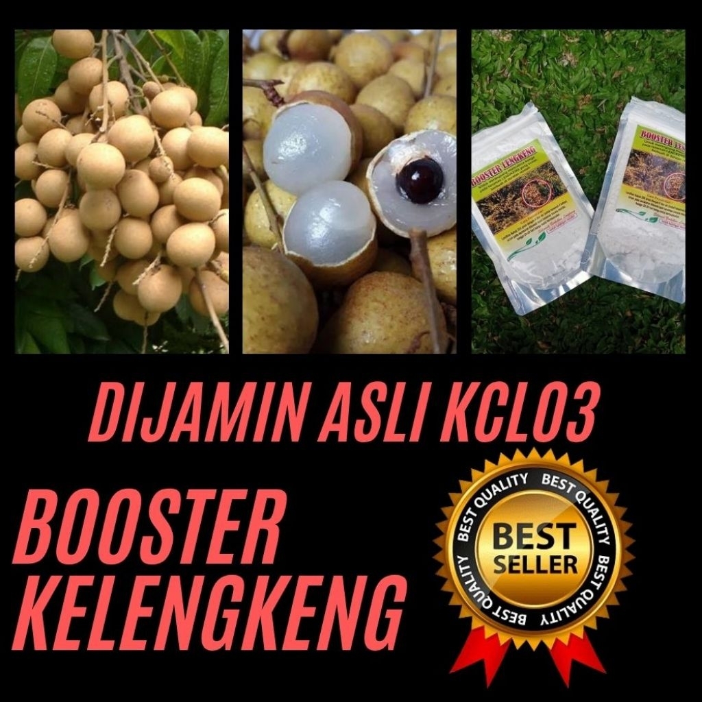 Boster Kelengkeng Buat Kelengkeng, Boster Kelengkeng Cair, Boster Kelengkeng Itoh