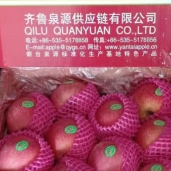 Apel Fuji premium Dus/-+17 kg