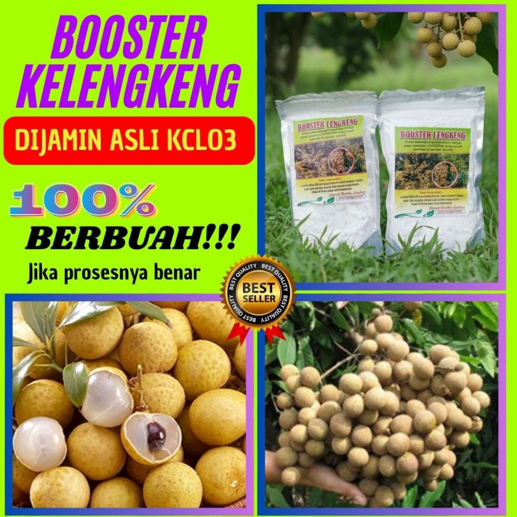 Pupuk Kelengkeng Merah, Pupuk Kelengkeng New Kristal