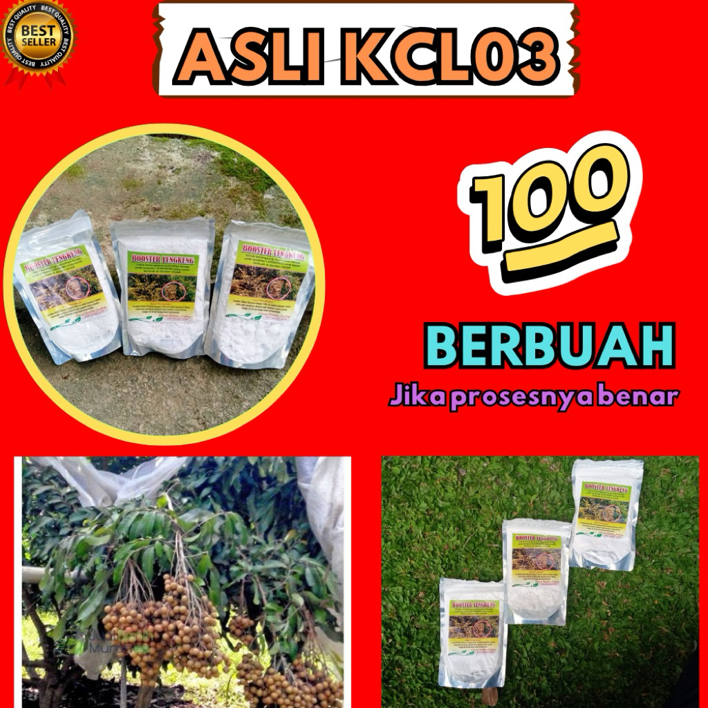 Booster Kelengkeng Serbuk, Booster Kelengkeng Terbaik
