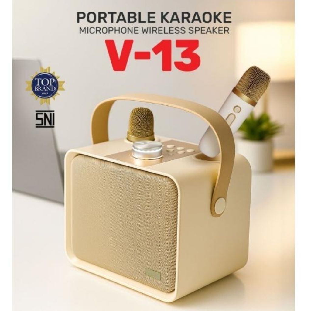 SPEAKER ADVANCE V13