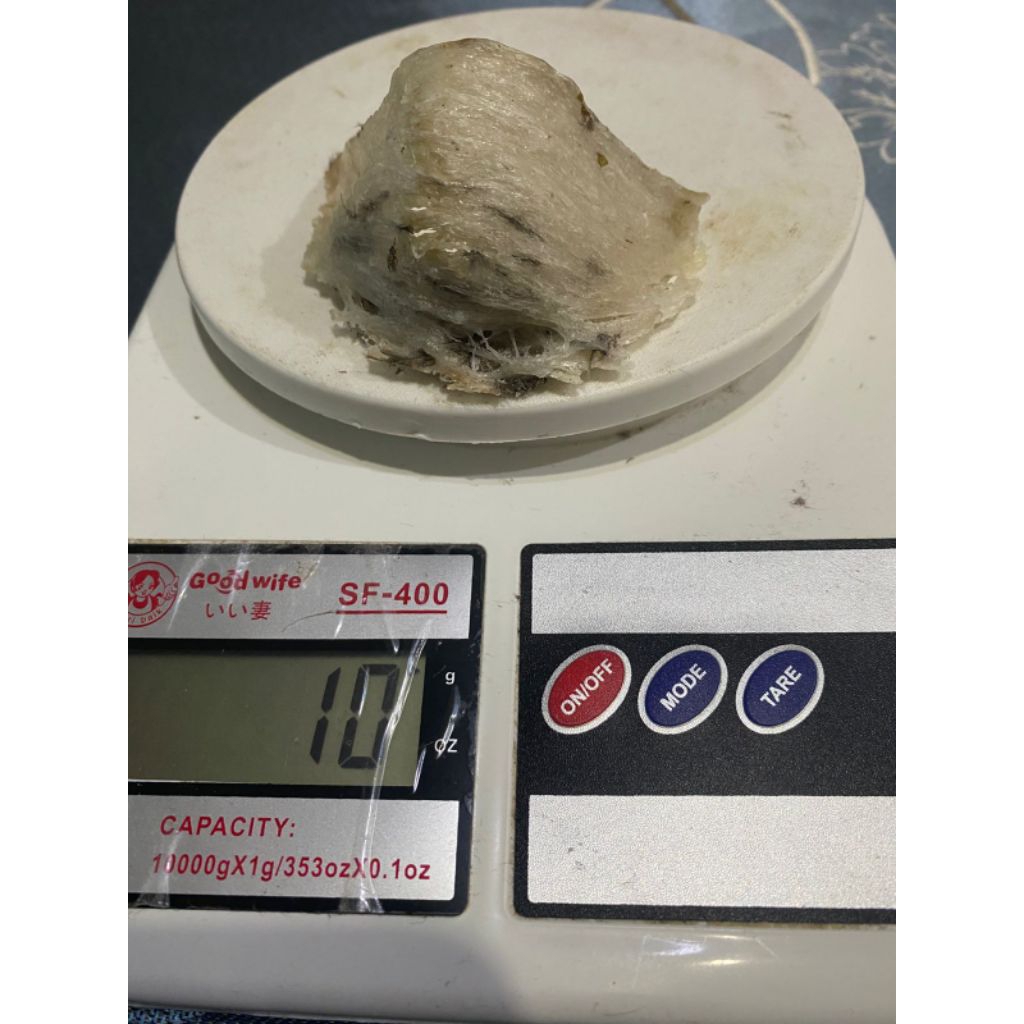 Sarang Walet Kotor Asli Kalimantan